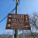 문거1리 경로당 | 지금 안가면 끝? 남평문씨세거지 홍매화 꽃구경 다녀온 후기