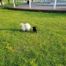 도농체육공원 이미지