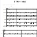 왜 B-Rossette 인가!!! 이미지