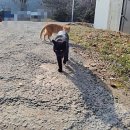 오라켄넬 이미지