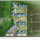 정관5로 이미지