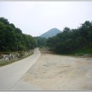 참숯나라 이미지