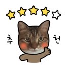 강진갤러리민박 이미지