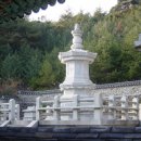 도리사 - 1026 | 도리사