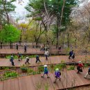 길을 찾는 작은도서관 이미지