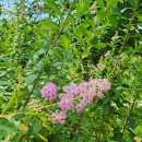 순천만힐링 이미지