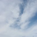 이스터섬의 바위 얼굴 / 강인한 이미지