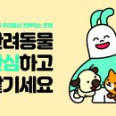 다녀오개 이미지