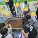 인천나비공원 경기매일