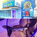 썸피싱카페낚시터 이미지