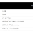 로더랩 이미지