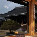 더쌍화밀양점 | [경남 밀양 | 퇴로정 한옥카페] 밀양 한옥카페, 밀양 카페 이색 메뉴, 밀양 내돈내산 카페 추천
