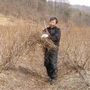 대야농장 이미지