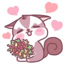 렙타일케이지 이미지