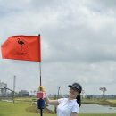 플라밍고C.C 이미지