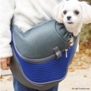 애견의 집 이미지