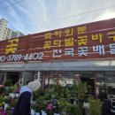 성해꽃직매장
