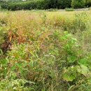 율촌농장 이미지