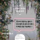 샤이닝블로썸
