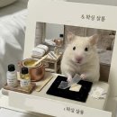 루비커텐 | 남양주 별내 왁싱 추천! 쫄보의 덜 부끄러운 첫 브라질리언 왁싱 대성공 후기 (루비다 왁싱)👍🏻