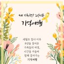 리본여행 네이버블로그
