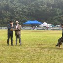 BG독케어센터 네이버블로그