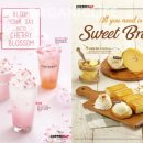 주식회사 사과나무 이미지