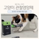 츄르츄르 | 먹이기 쉬운 코코몰리 관절 영양제 츄르 후기 | 언제부터 먹일까