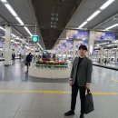 아리시파트너스 | 오사카 여행 후기 (3) (아라시야마 현, 대나무 숲, 기모노대여)