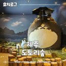 토토로 러버 제주 도토리숲 방문후기
