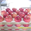 진영농장 이미지