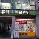 퓨리나동물병원 이미지