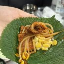 쭈꾸미골목 가지 마세요! 길동역 쭈꾸미 1티어 맛집_마시쭈 방문 후기