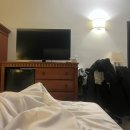 동전주현대서비스(유) | 몬트리올 → 캘거리 이사 비용·기간 총정리 (유홀 U-Box + MVS 차량 탁송 후기)