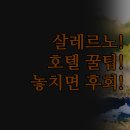 카라라호텔 | 살레르노 호텔 추천 | 2024년 최신 솔직 후기 비교 | 빌라 카라라 로이즈 바이아 | 완벽한 이탈리아...