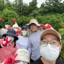 민상농장 이미지