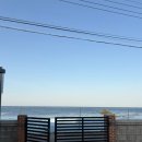 감포 바다 앞 민박 이미지