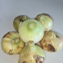 광평농장 이미지