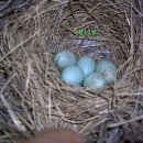 오마이갓(Oh My God) 이미지