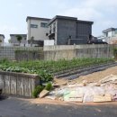 마로니파크 이미지