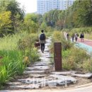 양재천(서초구) 이미지
