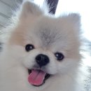 로아동물병원 이미지