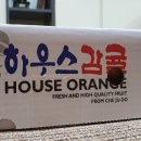 양지청과 이미지