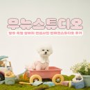 양주 옥정 &lt;무뉴스튜디오&gt; 강아지 피크닉 사진 반려동물사진관후기
