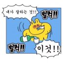 닭파는집