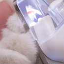 닥터아이티엔발톱깎이 | 모노치 LED 강아지발톱깎이, 고양이손톱깍이! 닥터툴이 직접 써본 솔직 후기!