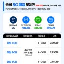 금영전기통신 주식회사 | 중국 상하이 여행 준비물 리스트 필수템 여행용 샤워기 필터 + 멀티 어댑터 추천