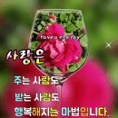 헤드라인 뉴스(20년10월14일) 이미지