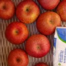 달밭농장 이미지