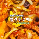 볼빨간쭈꾸미 이미지